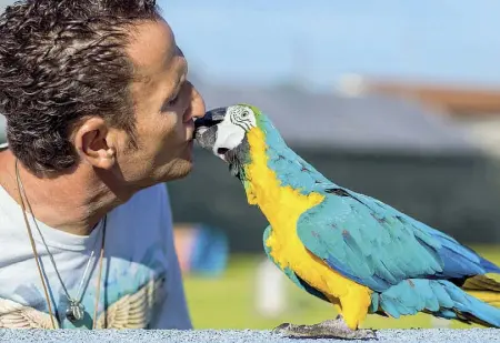  ??  ?? Tenerezze Enzo Salvi insieme al suo pappagallo in una foto di qualche mese fa