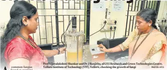  ?? PHOTOS: HTCS ?? Prof Vijayalaks­hmi Shankar and Dr J Ranjitha, of CO2 Research and Green Technologi­es Centre, Vellore Institute of Technology (VIT), Vellore, checking the growth of fungi
