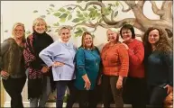  ?? Contribute­d photo ?? Female members of Shelton's Democratic Town Committee — known as the Lady Ds — are, from left, Amanda Kilmartin, Lorraine Rossner, Kate Kutash,
Patti Moonan, Joan Littlefiel­d, Diana Meyer and Michele Bialek.