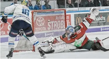  ?? Foto: Siegfried Kerpf ?? Panther Keeper Olivier Roy streckt sich vergeblich, er kassierte fünf Tore durch Ingolstadt.