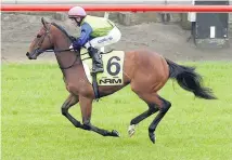  ?? Picture / Trish Dunell ?? Juliette is seeking to qualify for the Karaka Million.