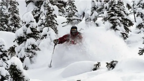  ?? PHOTO cOURTESY dEgAN MEdiA ?? INTO THE DEEP: A skier emerges surrounded by trees and blanketed by snow, in ‘White Haze.’