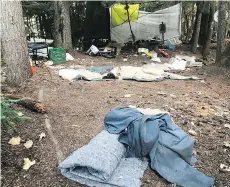  ??  ?? Adrian Moran, co-owner of 50 North Exterior Property Detailing, contracted by the municipali­ty of Whistler to remove four illegal campsites in the last year, says he has heard many stories of people living 20 to a house.