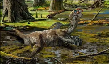  ?? COURTESY OF ZHAO CHUANG ?? An artist’s impression shows the “mud dragon,” a dinosaur that existed 66 million years ago.