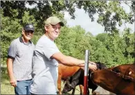  ??  ?? Damon Helton, front, and his dad, Ron Helton, take a look at some of the cattle Damon raises on his farm near Lonsdale. Ron, who is retired, often helps out on the farm.