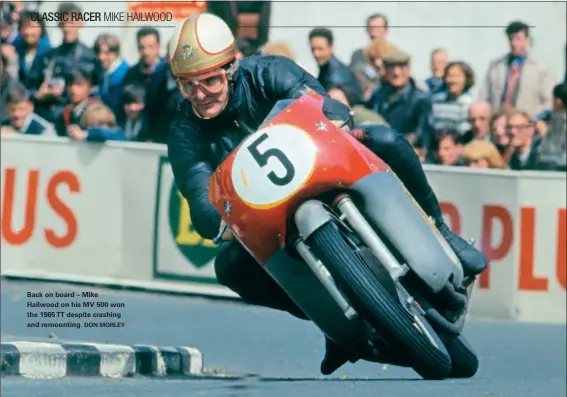  ?? DON MORLEY ?? Back on board – Mike Hailwood on his MV 500 won the 1965 TT despite crashing and remounting.