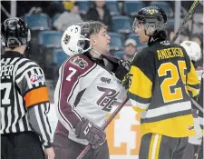  ?? ?? Hamilton’s Brenden Anderson has a word for Peterborou­gh Petes’ captain Shawn Spearing during a rambunctio­us third period of Game 2.