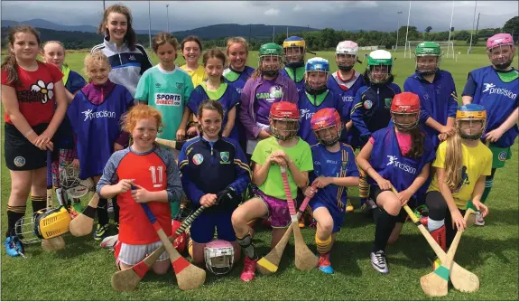  ??  ?? Participan­ts at the Wicklow camogie summer camp in Ballinakil­l.