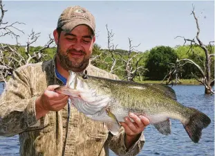 ?? Shannon Tompkins / Houston Chronicle ?? Through April 15, Texas anglers participat­ing in the state's revamped ShareLunke­r program have this year entered more than 200 largemouth bass weighing 8 pounds or more caught from 64 public reservoirs, rivers and ponds.