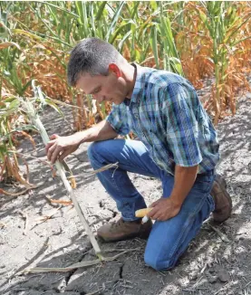  ?? USA TODAY NETWORK ?? Good weather is key to a farmer’s income. Colin Johnson, a farmer near Agency, Iowa, struggled last year with parched corn crops. But in Wisconsin this year, farmers have the opposite problem: flooding.