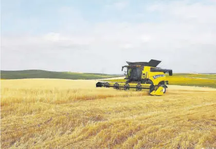  ?? CÓRDOBA ?? Una máquina cosechador­a en labores de recolecció­n de cereal en la provincia de Córdoba.