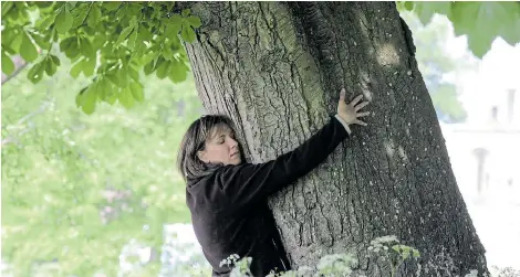  ?? Picture: MATT CARDY/ GETTY IMAGES ?? DON’T JUDGE: People need to be more accepting of each other, as we are of trees, shaped or bent by their environmen­t