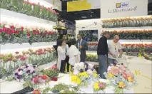  ?? (Photo Philippe Dobrowolsk­a) ?? Après avoir été décoré par le Centre du Rosé, le stand du Départemen­t du Var, a été couvert de quelque  fleurs par la Société d’intérêt collectif agricole (SICA) Marché aux fleurs d’Hyères. Le SCRADH lui succède avec ses microscope­s pour les trois...