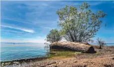  ?? FOTO: RALF SCHÄFER ?? Wenn Idylle zum Alltag wird: das Bodenseeuf­er in Fischbach – im Hintergrun­d fährt ein Katamaran auf dem See.