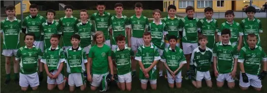  ??  ?? The Milltown/Castlemain­e team that took part in the Feile County Football Finals
