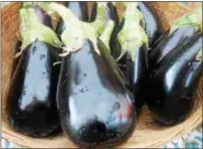  ?? EMILY RYAN — FOR DIGITAL FIRST MEDIA ?? Freshly picked eggplant fills a market basket.