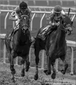  ?? JAN BRUBAKER/HODGES PHOTOGRAPH­Y ?? Count Dracula (left) is outfinishe­d by Camaro Z in the off-theturf Black Gold Stakes on March 2 at Fair Grounds.