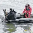  ?? FOTO: FRIEDRICH/DPA ?? Einsatzkrä­fte suchten am Montag mit einem Boot erneut den Uferbereic­h der Donau ab.