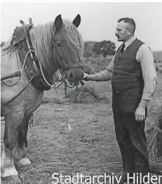  ??  ?? NSDAP-Ortsgruppe­nleiter Heinrich Thiele bei der Flachsernt­e. Er war gelernter Landwirt.