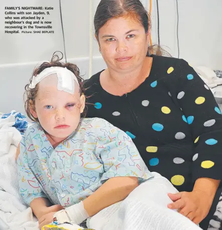  ?? Picture: SHAE BEPLATE ?? FAMILY’S NIGHTMARE: Katie Collins with son Jayden, 9, who was attacked by a neighbour's dog and is now recovering in the Townsville Hospital.