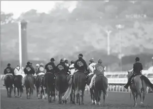  ?? Getty Images/tns ?? The field heads to the starting gate prior to the Breeders’ Cup Classic at Del Mar Race Track in November 2017 in Del Mar.