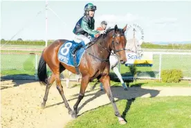  ?? Photo / Race Images ?? Maduro and Temyia Taiaroa Return to scale after winning race 8 at Woodville.