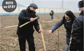  ?? ФОТО ОЛЕГА
БЕЛОУСОВА ?? Яблоньку сажают председате­ль Брагинског­о райисполко­ма Александр Кохан и заместител­ь генерально­го директора ОАО «Милкавита» Елена Лапова.