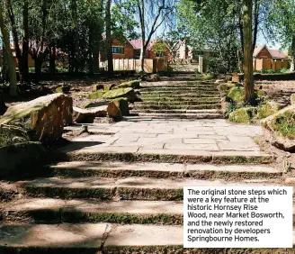  ?? ?? The original stone steps which were a key feature at the historic Hornsey Rise Wood, near Market Bosworth, and the newly restored renovation by developers Springbour­ne Homes.