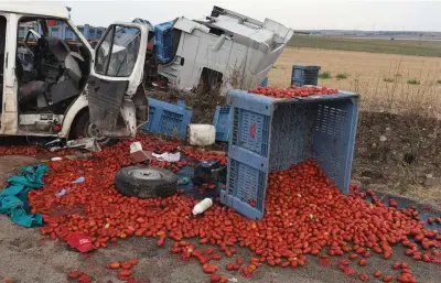  ??  ?? Scontro Un Tir carico di pomodori sabato si è scontrato con un furgone: quattro degli extracomun­itari a bordo sono morti (Ansa)