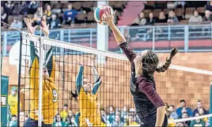  ?? SUBMITTED PHOTO ?? The Holland Hurricanes’ Sam Gerbig sends the ball over the net during Saturday’s Atlantic Collegiate Athletic Associatio­n (ACAA) women’s volleyball semifinal match against the St. Thomas Tommies in Fredericto­n, N.B. St. Thomas won in five sets.