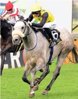  ??  ?? HARD RIDE. Mardi Gras has his quirks and is not always an easy ride. However he could win an Assessment Plate at the Vaal tomorrow.