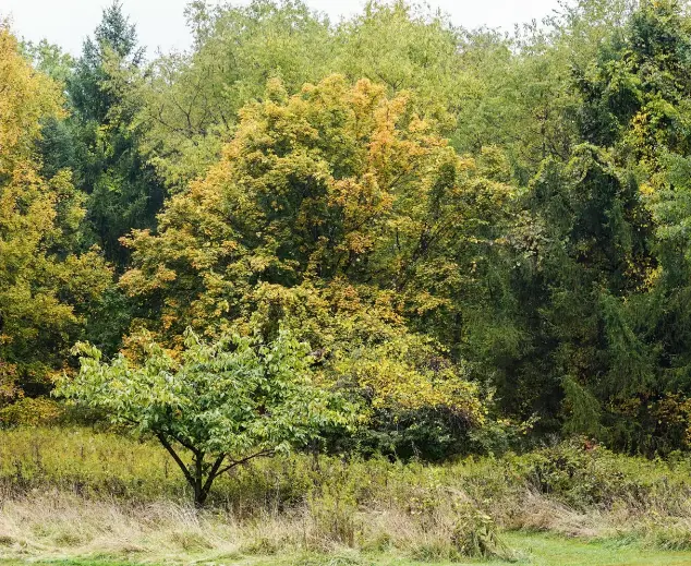 Tim Miller PressReader