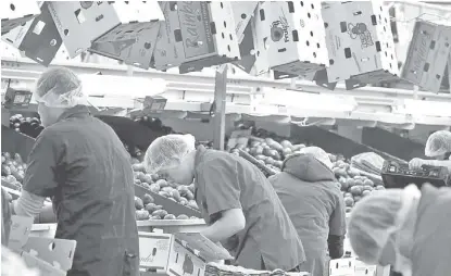  ?? JORGE CARBALLO ?? Acceso a más mercados para los productos alimentici­os.