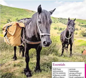  ??  ?? PACK TO NATURE
Walk the tranquil Lake District as fell ponies, above, carry all that you need for wild camping, below