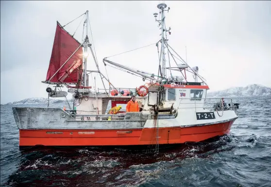 ??  ?? Photo ci-dessus :
Un bateau de pêche norvégien au large de Tromso. La pêche représente une source importante de revenus pour la Norvège, pays européen non membre de l’UE, deuxième exportateu­r mondial dans ce secteur. La volonté d’Oslo de conserver le contrôle de ses eaux poissonneu­ses explique en partie son refus d’adhérer à la CEE, puis à l’UE. (© Linnea Nordström/Arctic Council)
