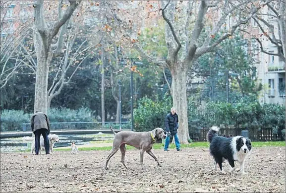  ?? ANA JIMÉNEZ ?? Una triste ladera. El intensivo uso del Turó Park provoca una imagen de decadencia y dejadez en muchos de sus rincones