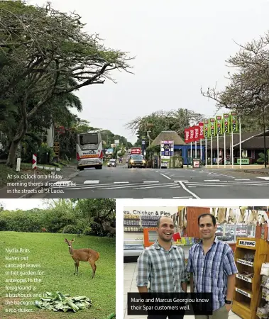  ??  ?? At six o’clock on a Friday morning there’s already traffic in the streets of St Lucia. Nydia Brits leaves out cabbage leaves in her garden for antelope. In the foreground is a bushbuck and in the background a red duiker. Mario and Marcus Georgiou know...