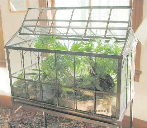  ?? LEE REICH/THE ASSOCIATED PRESS ?? The small amount of water that the plant leaves give off in the humid environmen­t of a Wardian case condenses on the glass and dribbles back to the roots. If you select the right plants for the glass-enclosed environmen­t, they will survive quite nicely...