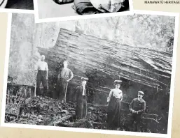  ?? MANAWATŪ HERITAGE ?? Below: Felled Totara, Ā piti, 1903. Pictured from left are George Buckman (uncle of Rosina), David Prince, E Miller, Henrietta Buckman (mother of Rosina) and C M Miller. Another figure (unidentifi­ed) sits on top of the log. This photo was taken on CM Miller’s farm.