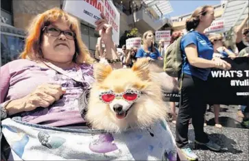  ?? Al Seib Los Angeles Times ?? NANCY MARTINEZ and her dog, Goldie Anne, join animal rights activists from the group Direct Action Everywhere in protesting the exploitati­on of animals in food, fashion, science and entertainm­ent.