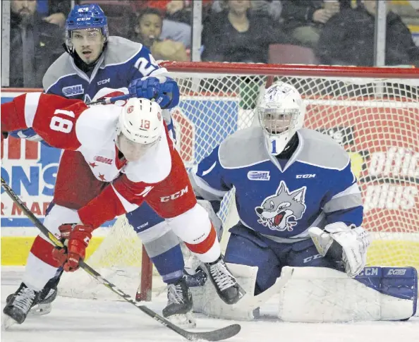  ?? BRIAN KELLY ?? Sudbury Wolves goalie Ukko-Pekka Luukkonen will suit up for Team Finland at the world juniors for the second straight year. The Buffalo Sabres prospect will be looking to avenge a quarter-final loss to the Czech Republic in last year’s tournament.