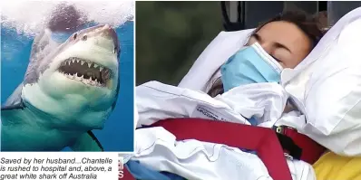  ??  ?? Saved by her husband...Chantelle is rushed to hospital and, above, a great white shark off Australia
Pictures: 9 NEWS