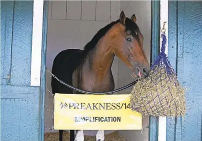  ?? KENNETH K. LAM/BALTIMORE SUN ?? Fourth-place Kentucky Derby finisher Simplifica­tion is the 6-1 fourth choice in the morning line. He drew the dreaded No. 1 post on the far inside for Saturday’s Preakness.