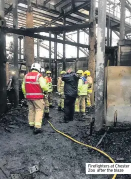  ??  ?? Firefighte­rs at Chester Zoo after the blaze