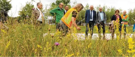  ??  ?? Wie steht es um das Grün an Straßen und um die Artenvielf­alt? Stadträte und Verwaltung gingen vor Kurzem auf Informatio­nstour. Foto: Klaus Rainer Krieger