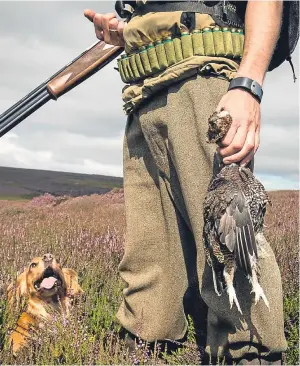  ?? Picture: PA. ?? In August two huntsmen were the first to be convicted for breaching the 2002 Act by deliberate­ly hunting and killing a fox with dogs.