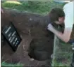  ?? RICHARD DREW — THE ASSOCIATED PRESS ?? Josh Anderson, of the Public Archaeolog­y Facility at Binghamton University, photograph­s an excavation at the site of the original Woodstock Music and Art Fair, in Bethel.