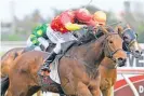  ?? Photo / Race Images ?? Grand Bouquet is one of two runners in the Waikato Cup for trainer Lauren Brennan.