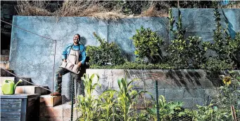  ?? MARIAH TAUGER/LOS ANGELES TIMES PHOTOS ?? Ken Sparks grows an array of fruits and vegetables at his home in East LA, California.