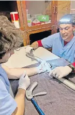 Antivenom shortage in South Africa a crisis - PressReader